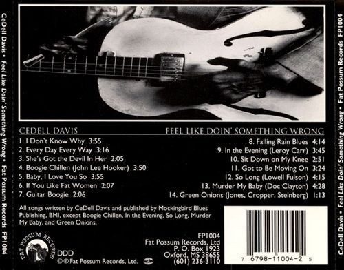Feel Like Doin' Something Wrong cover art