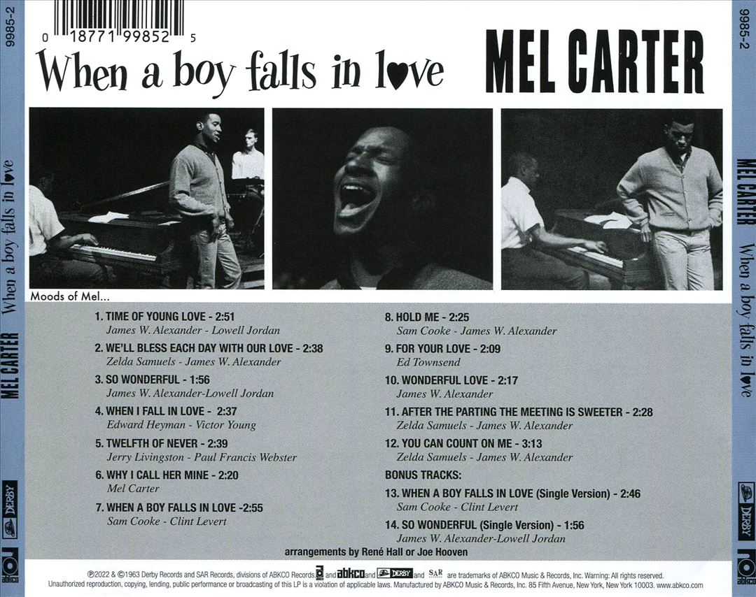 When a Boy Falls in Love cover art