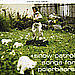 Songs for Polarbears cover art