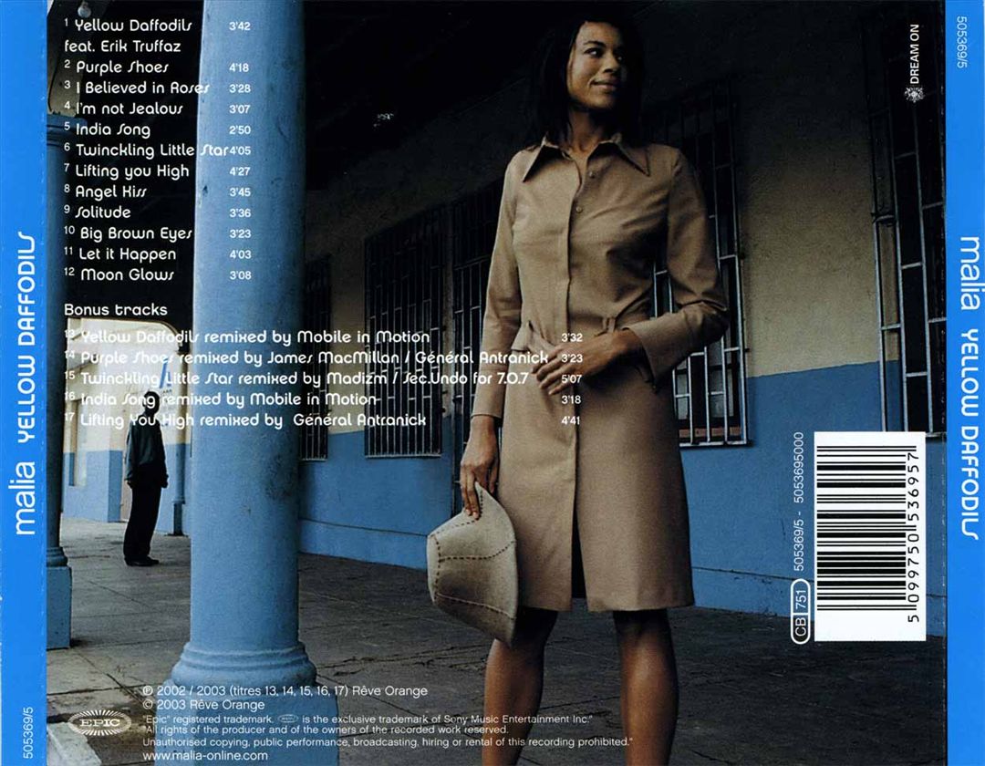 Yellow Daffodils cover art