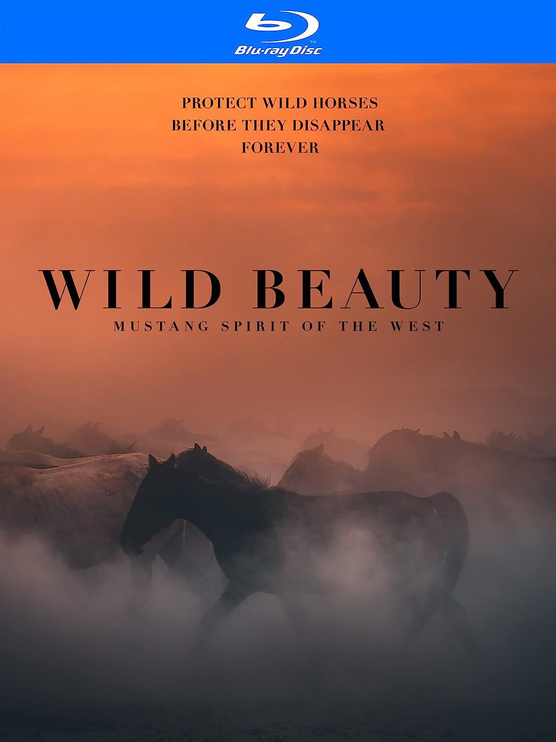 Wild Beauty: Mustang Spirit of the West [Blu-ray] cover art