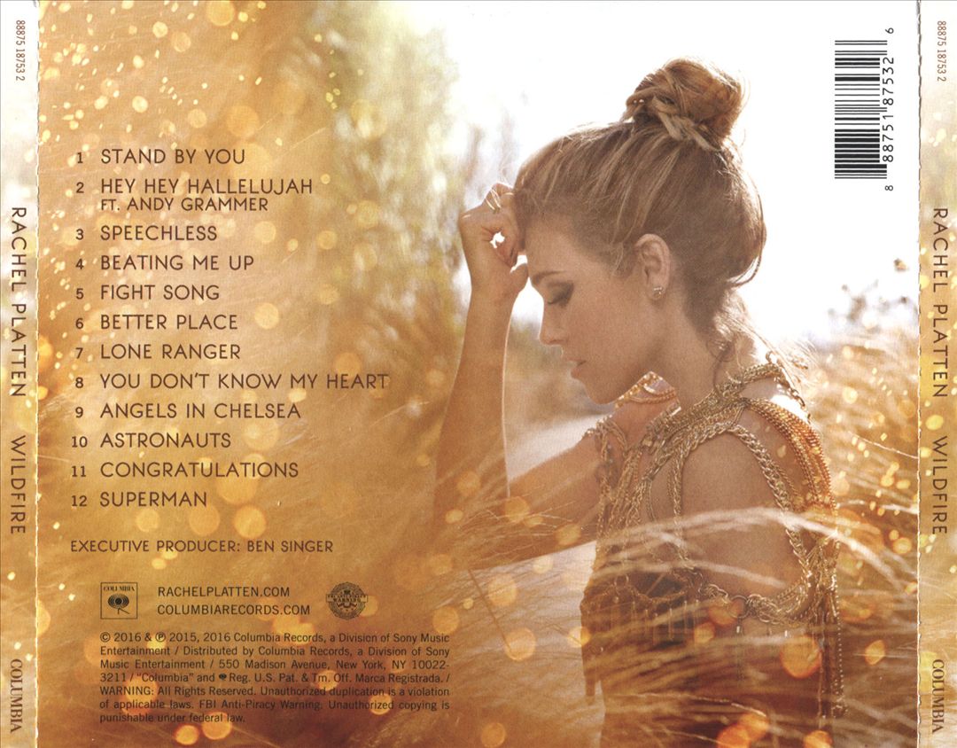Wildfire cover art