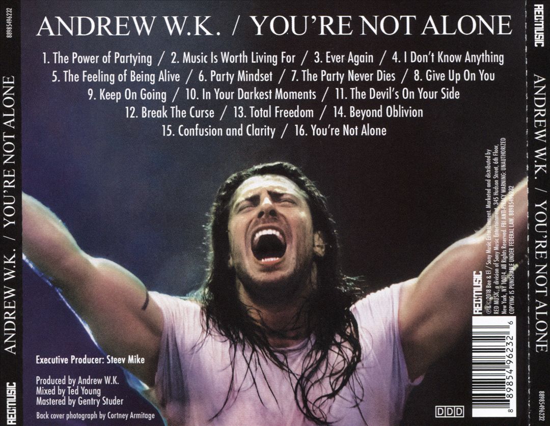 You're Not Alone cover art