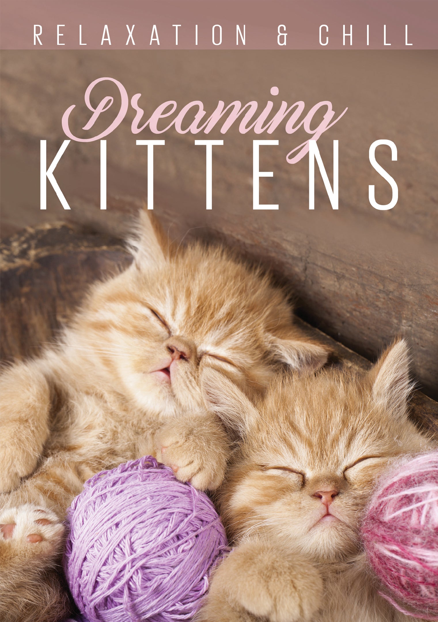 Relax: Dreaming Kittens [Video] cover art