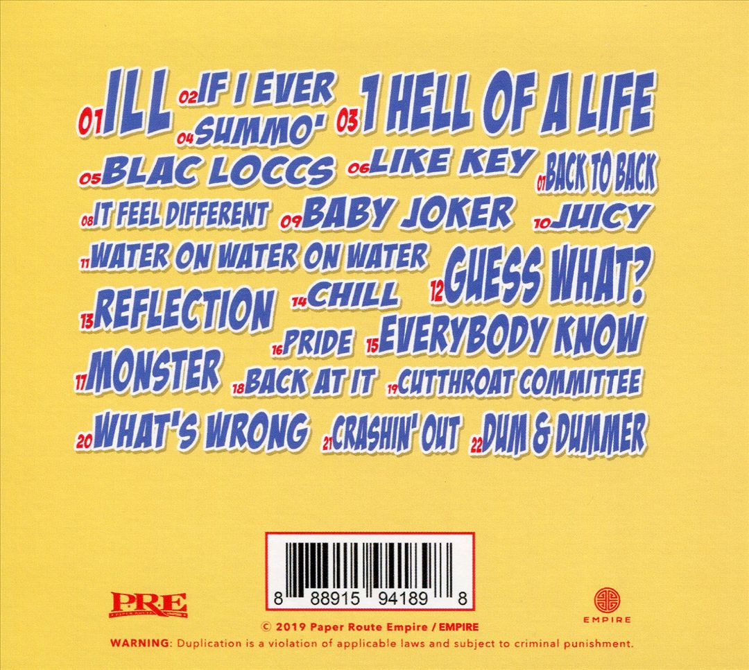 Dum and Dummer cover art