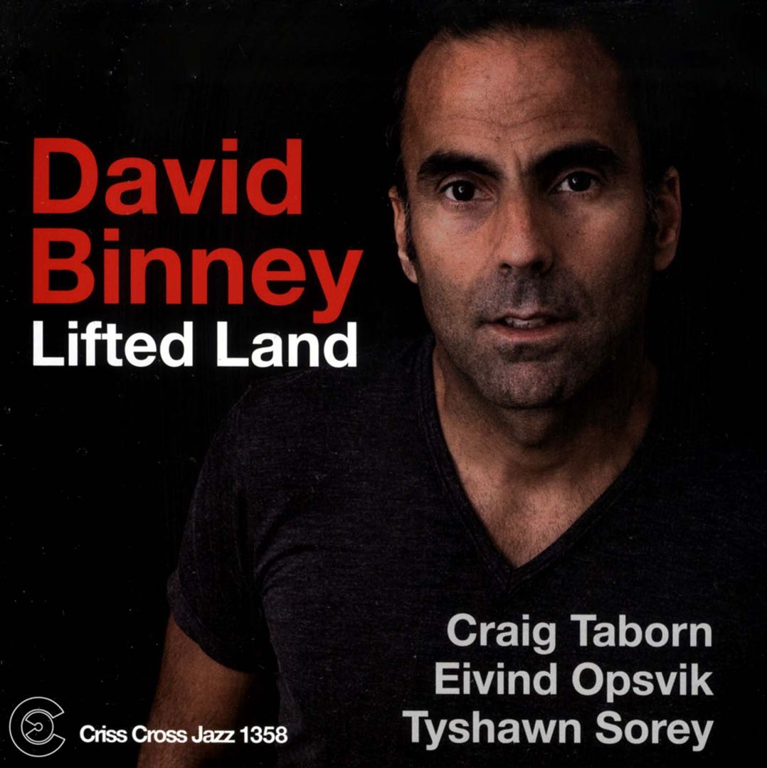 Lifted Land cover art