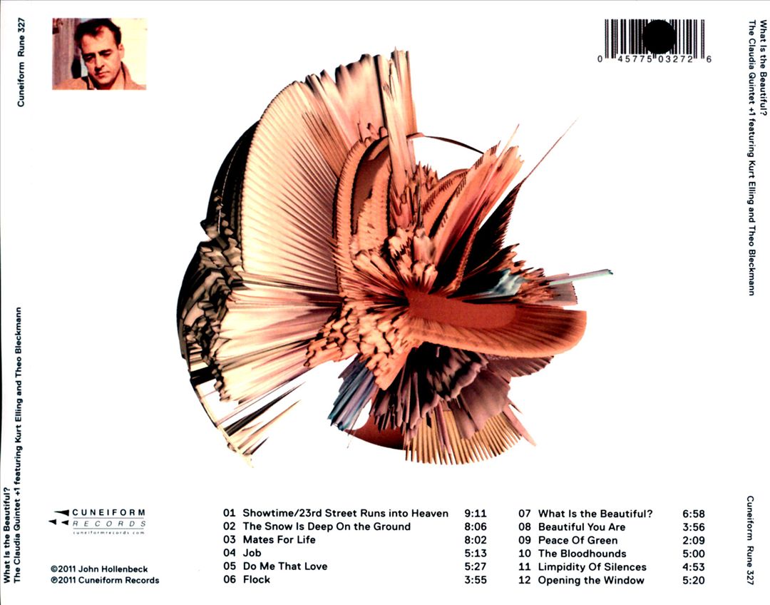 What Is the Beautiful? cover art