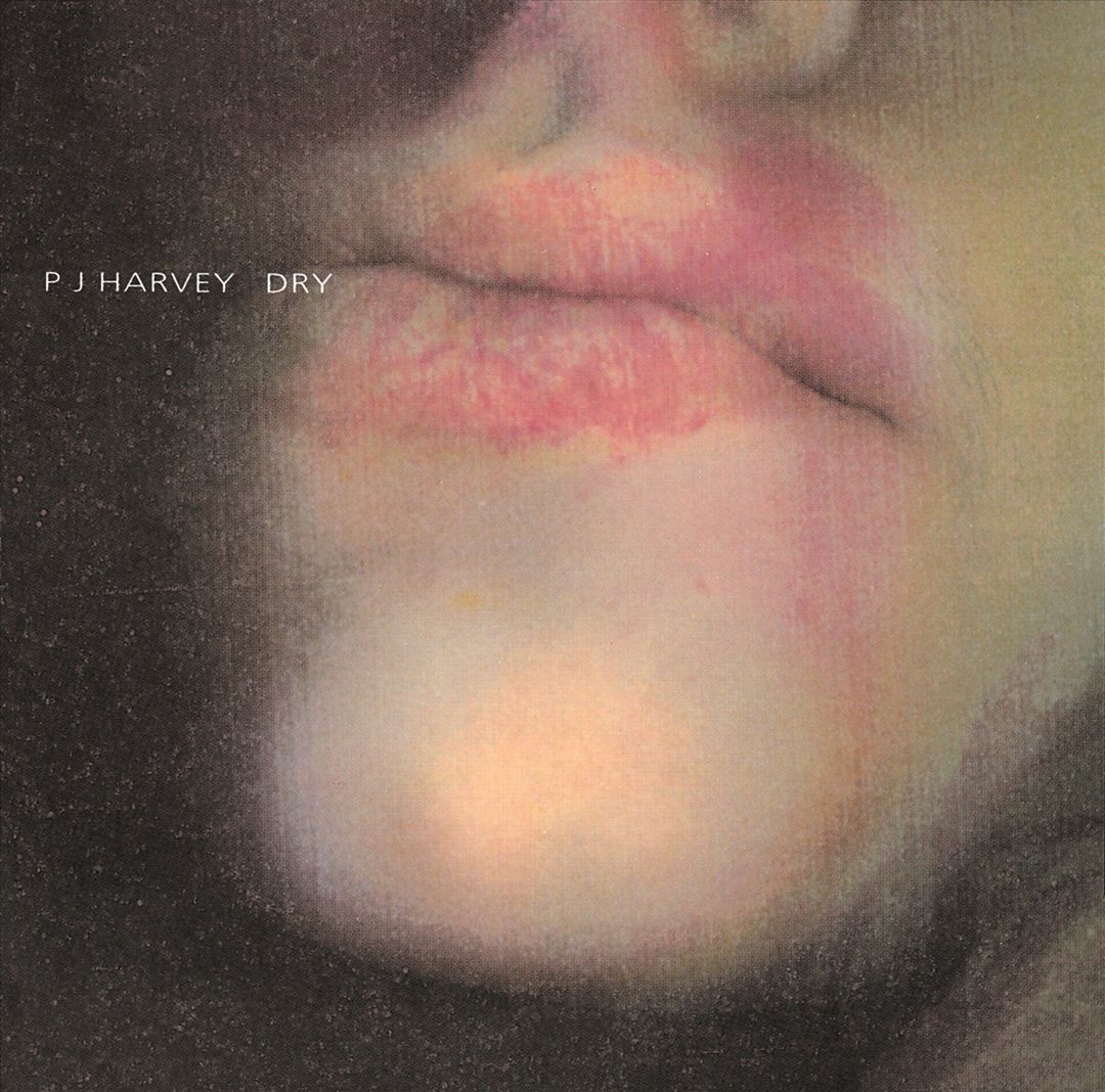 Dry cover art
