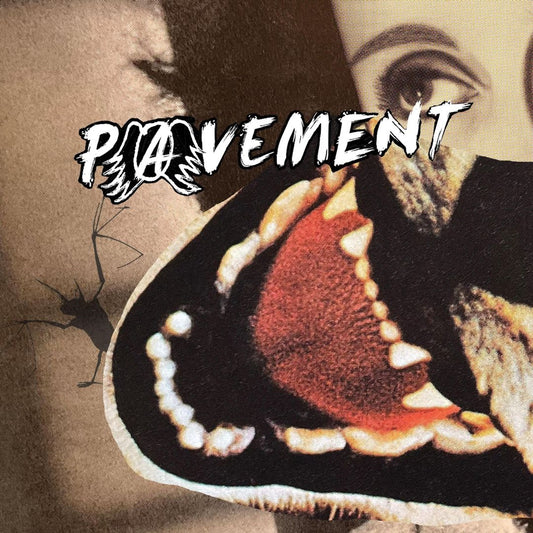 Hecklers Choice: Big Gums and Heavy Lifters - A Pavement Collection cover art