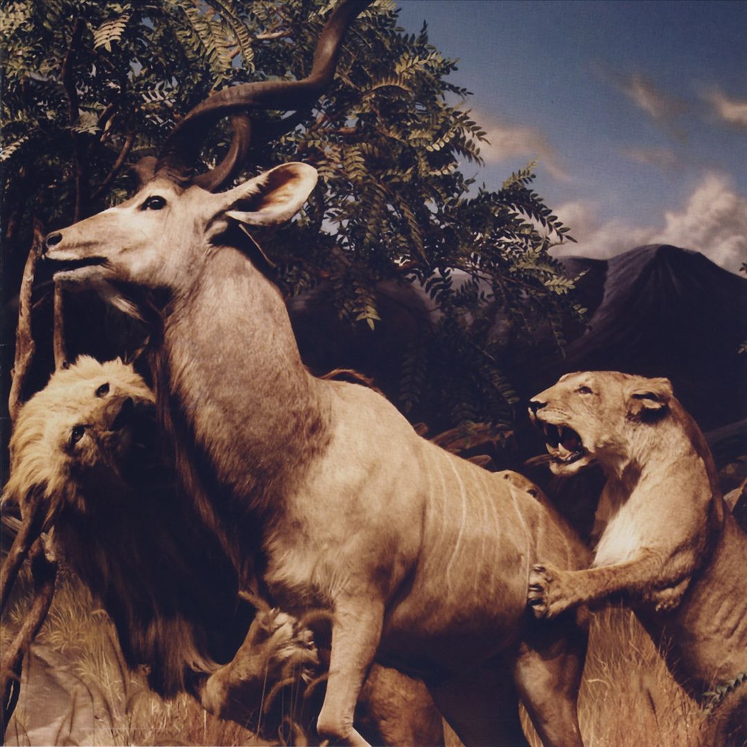 Our Love to Admire cover art