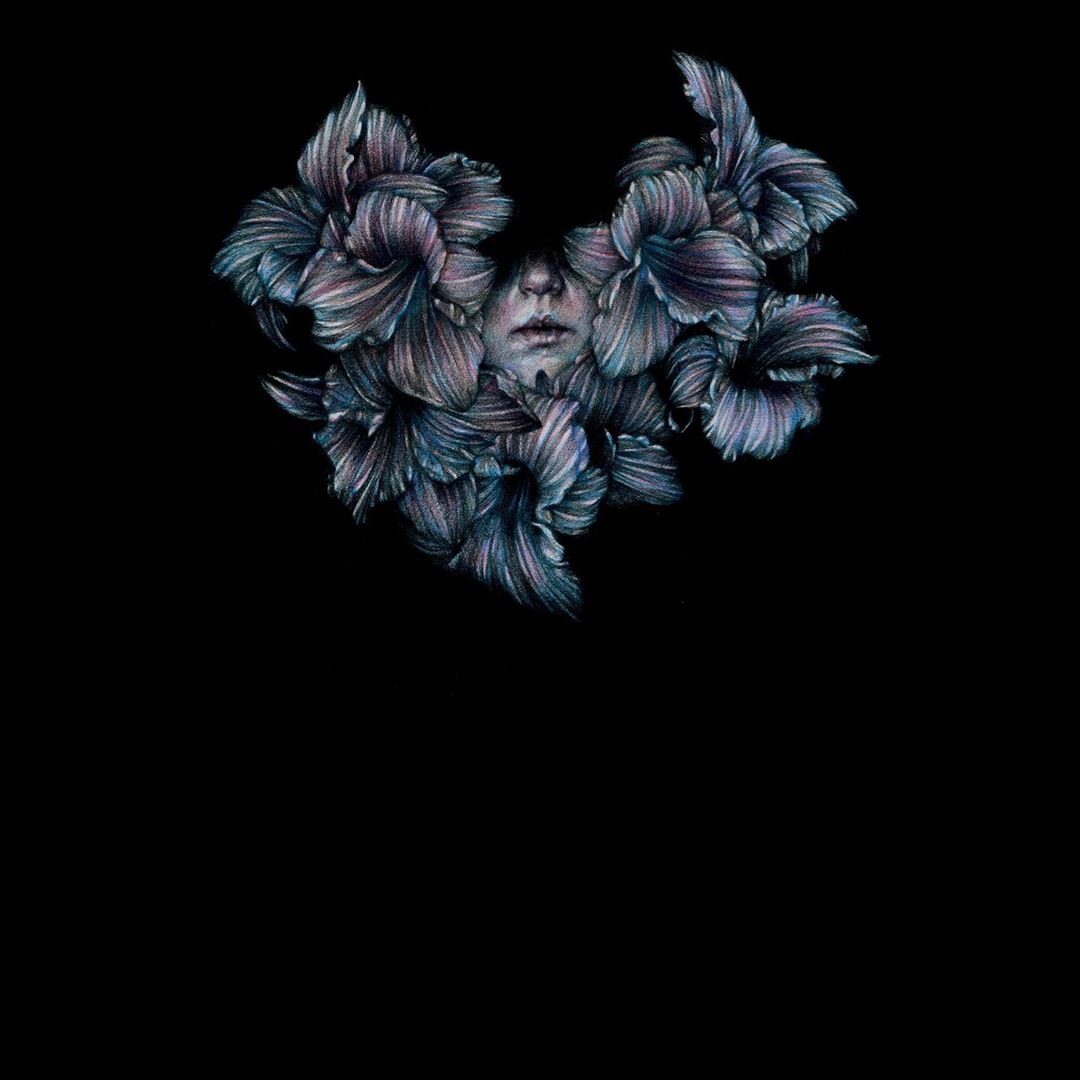 DIVISI cover art