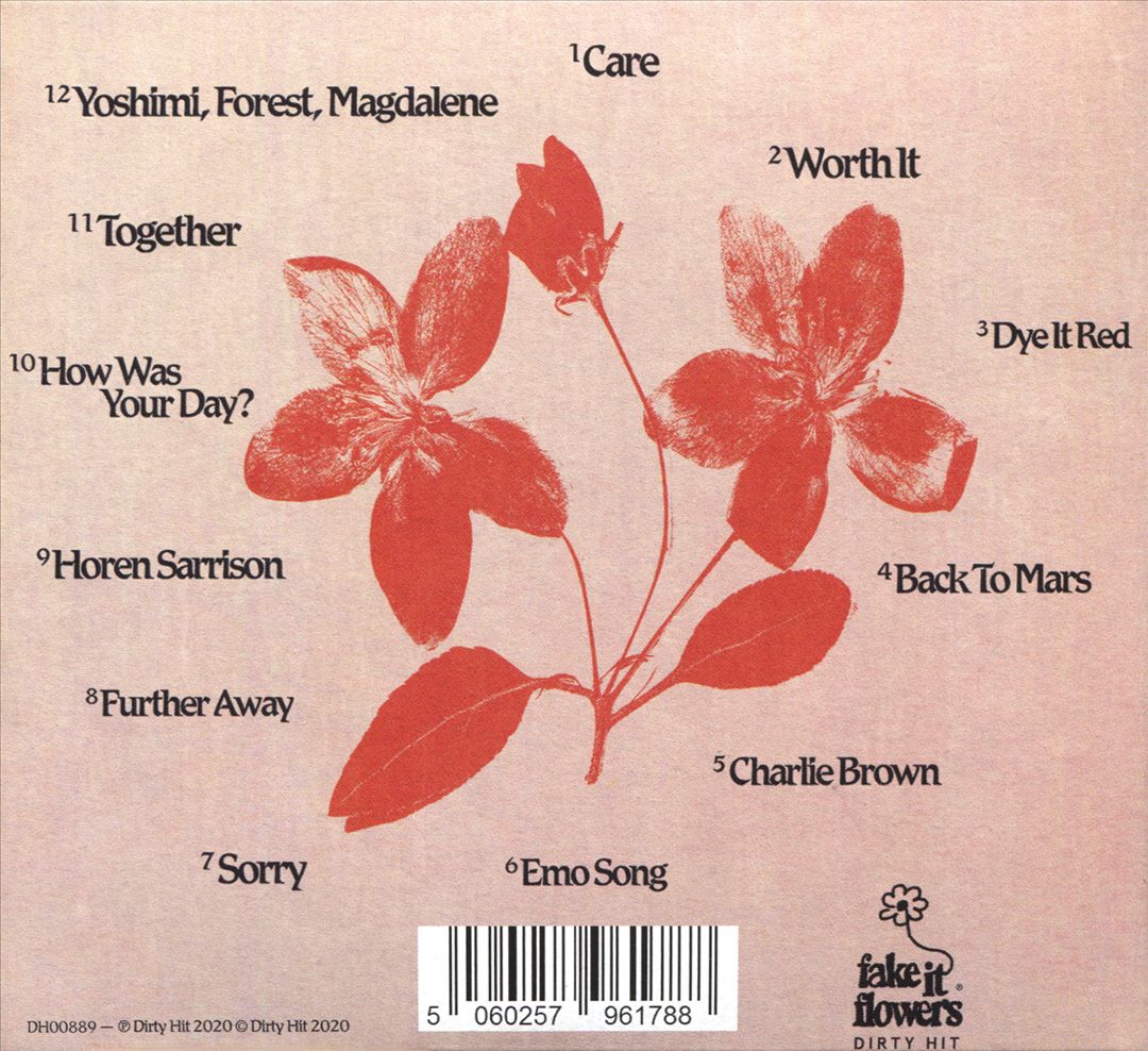 Fake It Flowers cover art