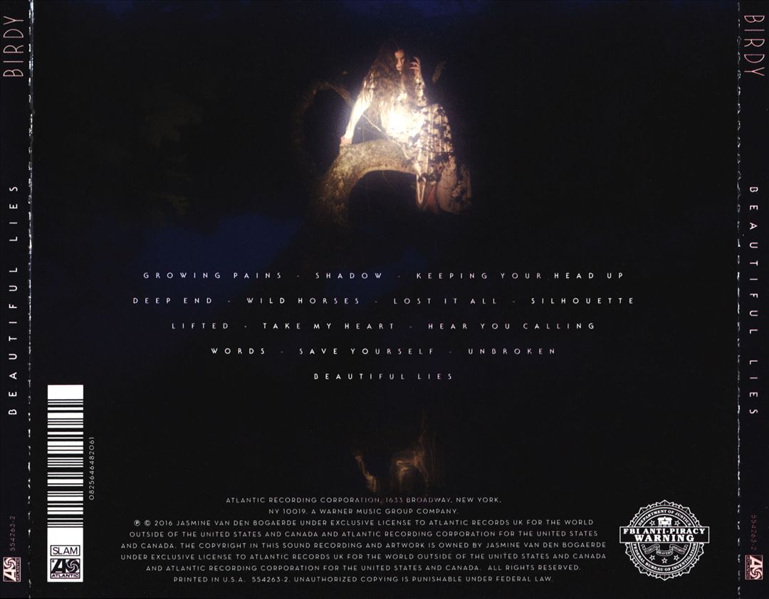 Beautiful Lies cover art