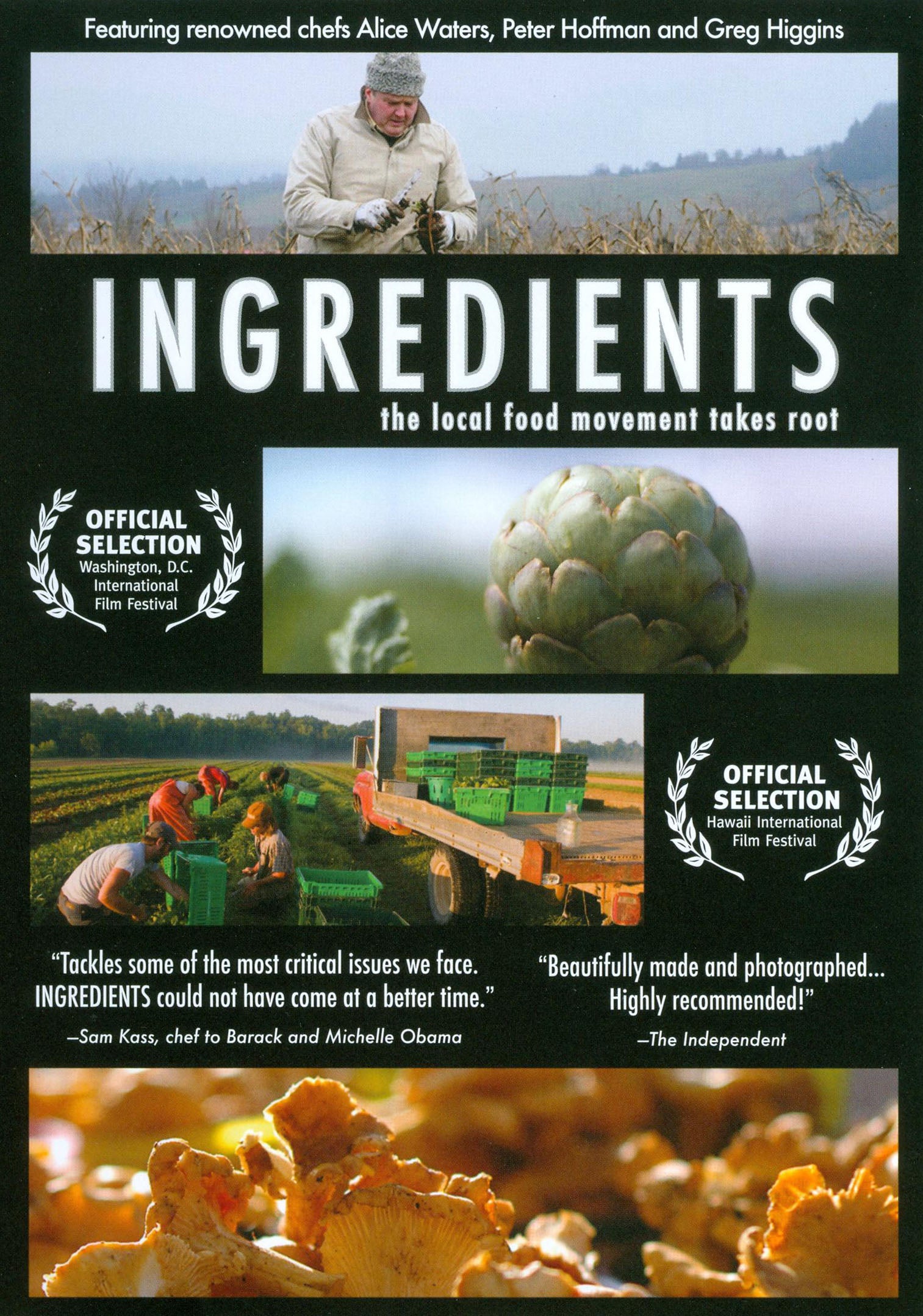 Ingredients cover art