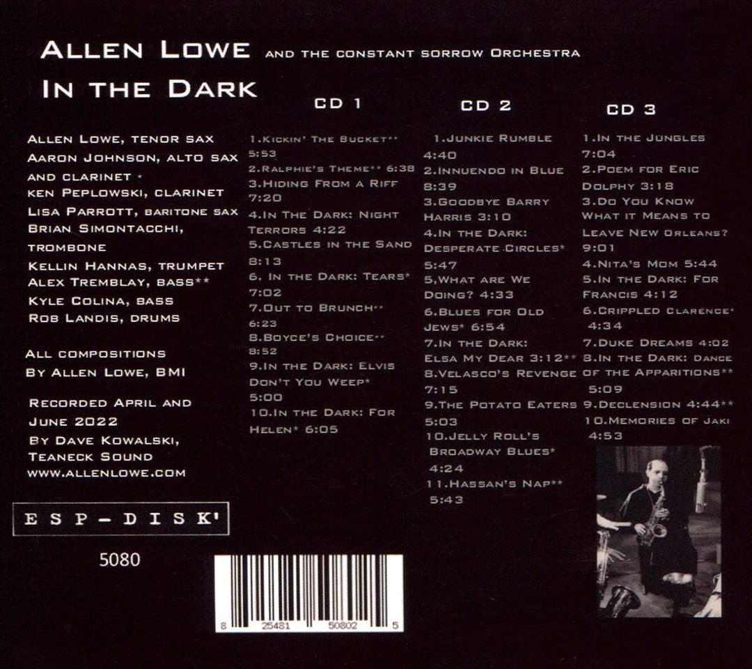 In the Dark cover art