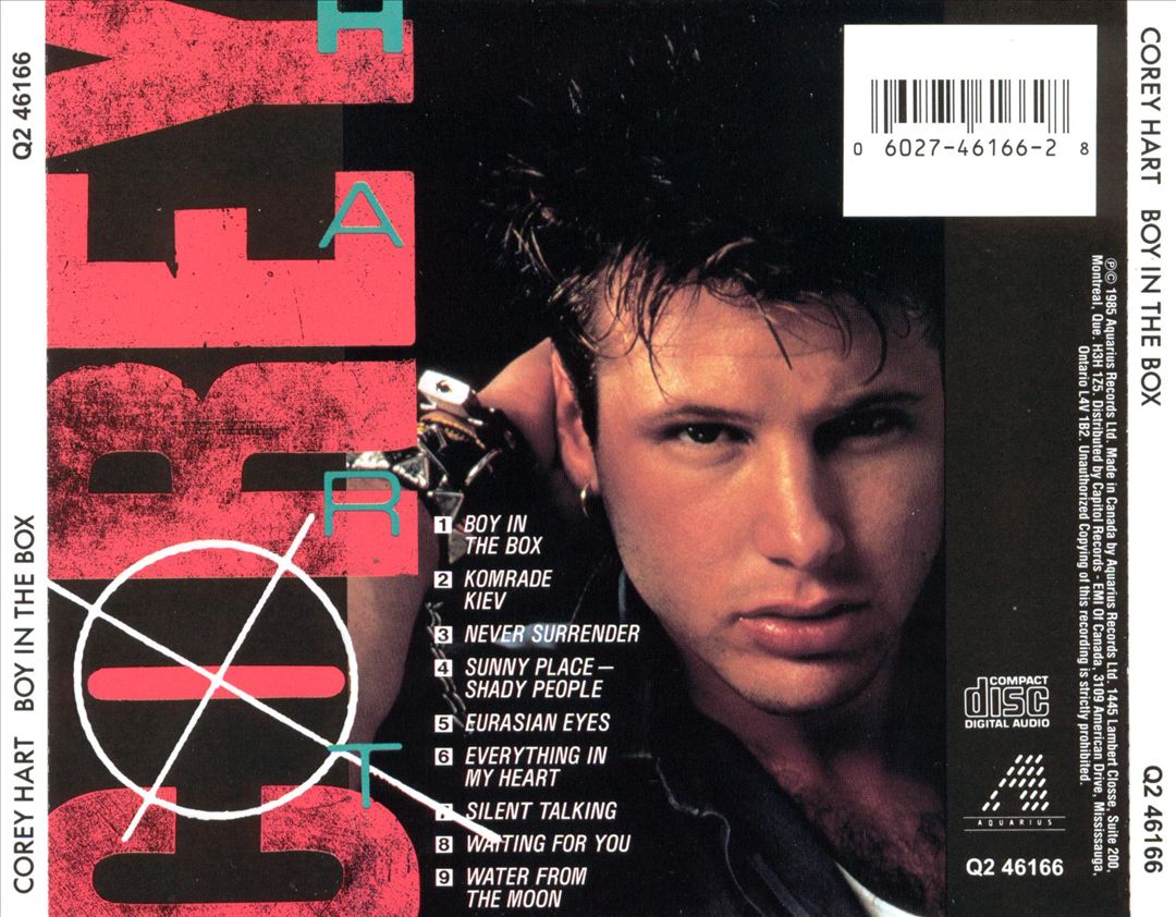 Boy in the Box cover art