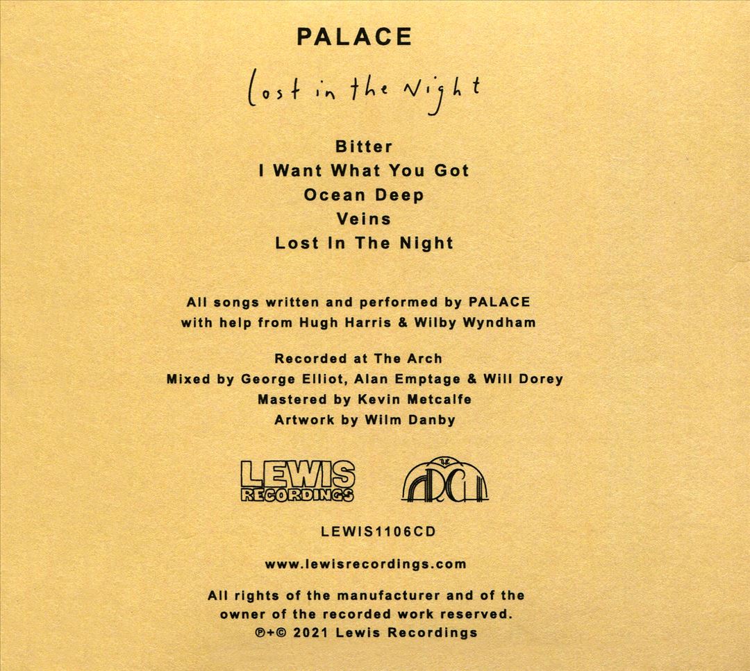Lost in the Night cover art