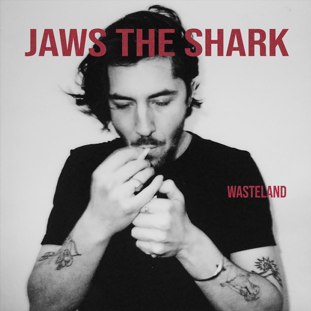 Wasteland cover art