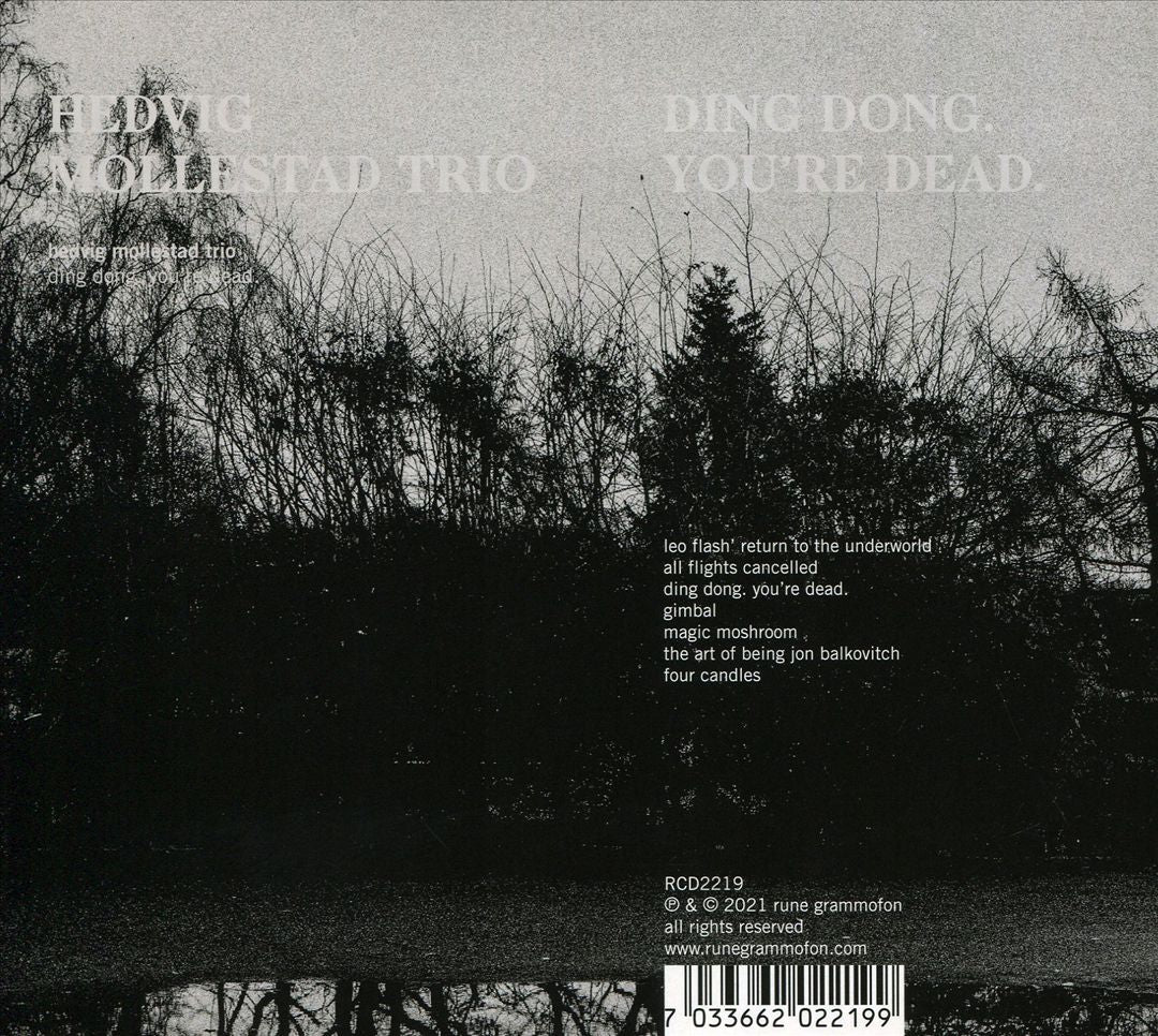 Ding Dong. You're Dead.  cover art