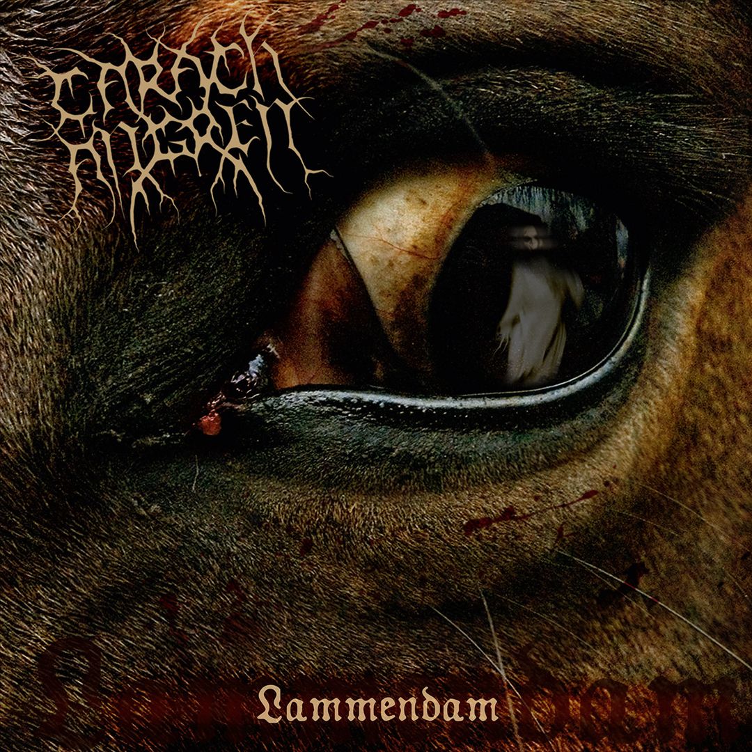 Lammendam cover art