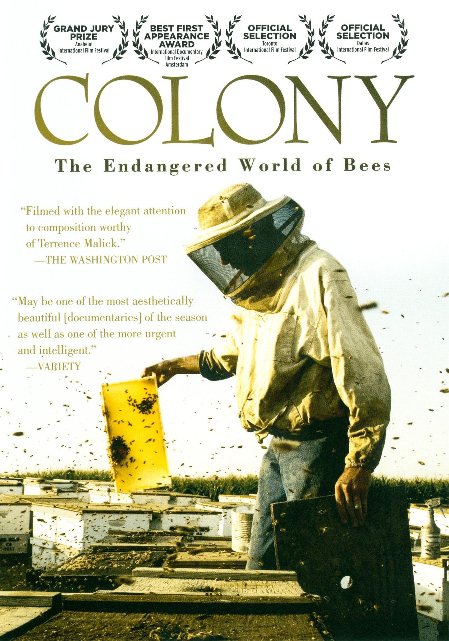 Colony cover art