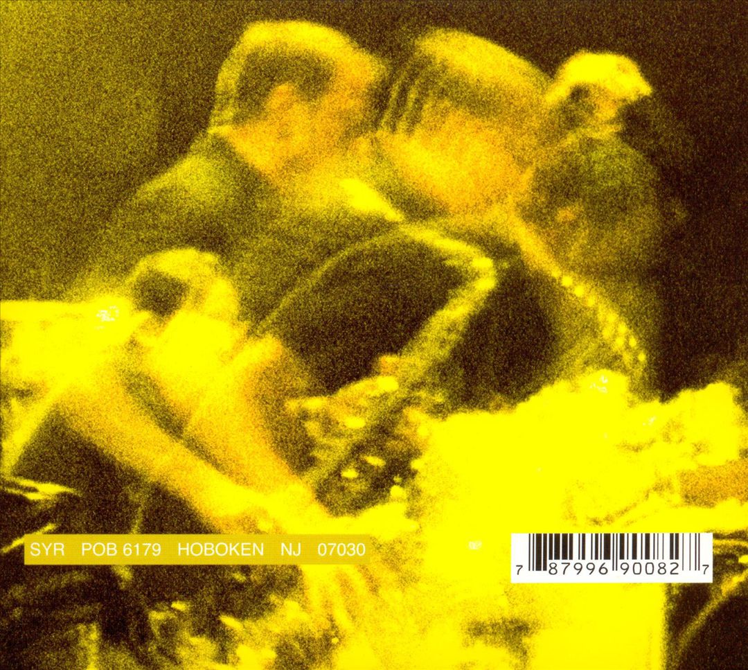 SYR 8: Andre Sider Af Sonic Youth cover art