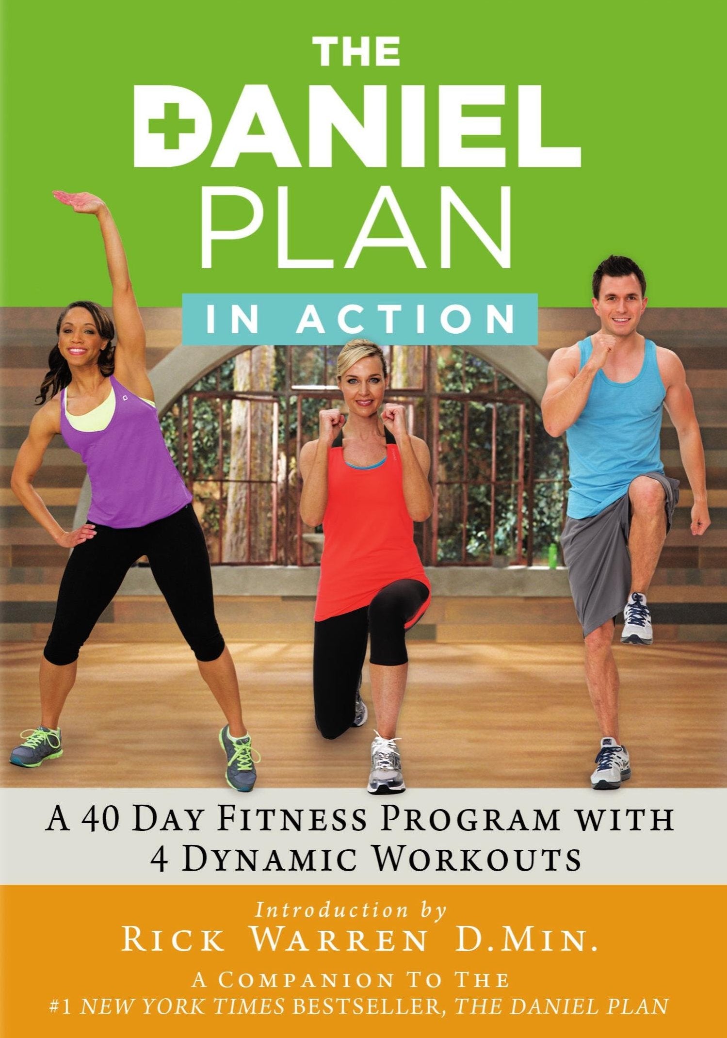 Daniel Plan: In Action [2 Discs] cover art