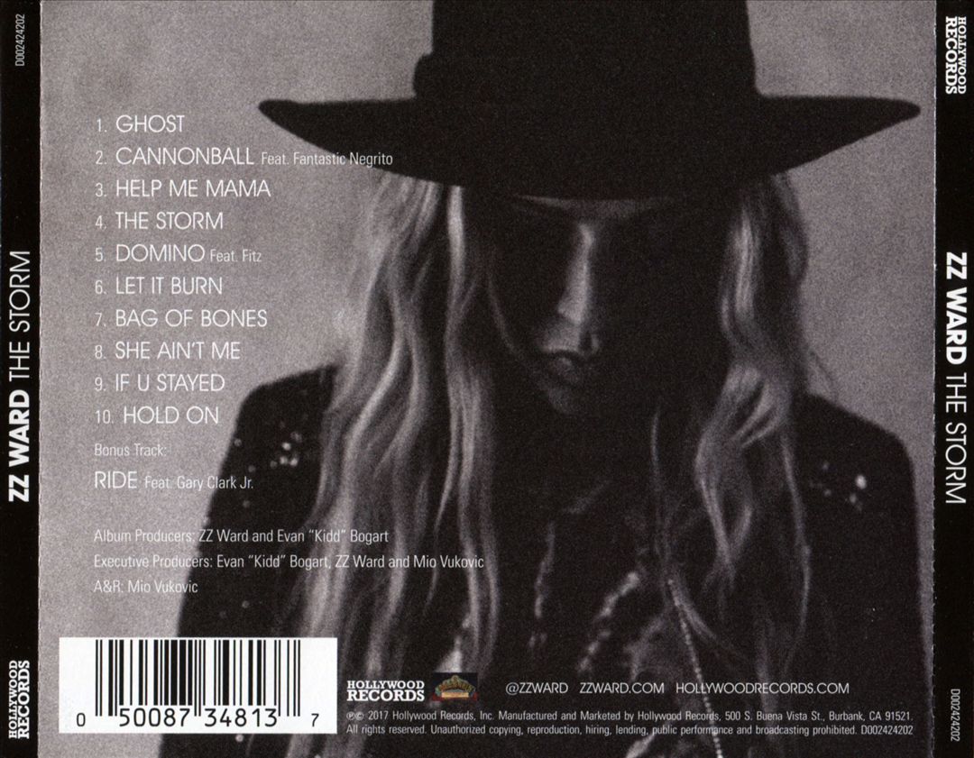 Storm cover art