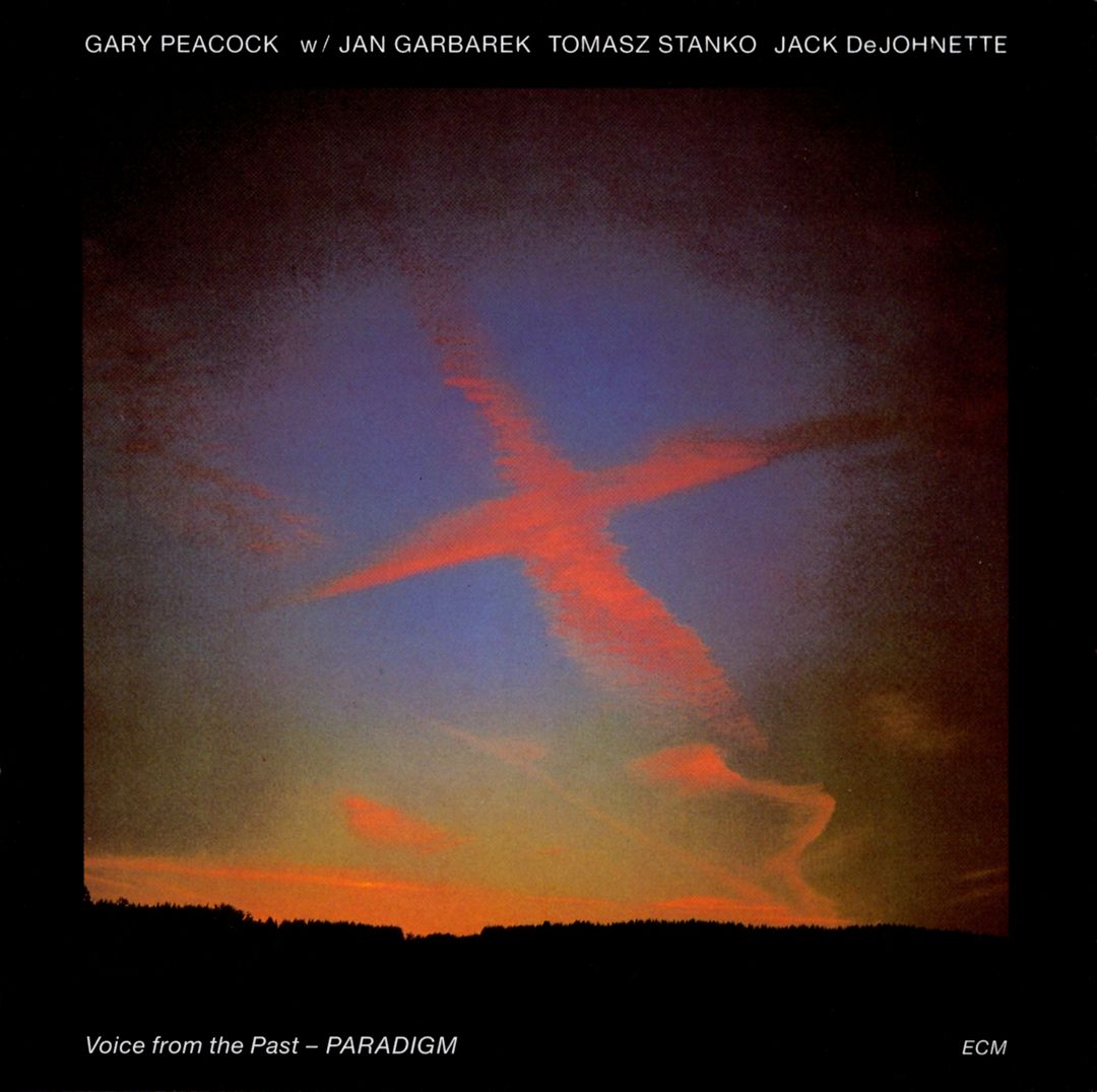 Voice from the Past: Paradigm cover art