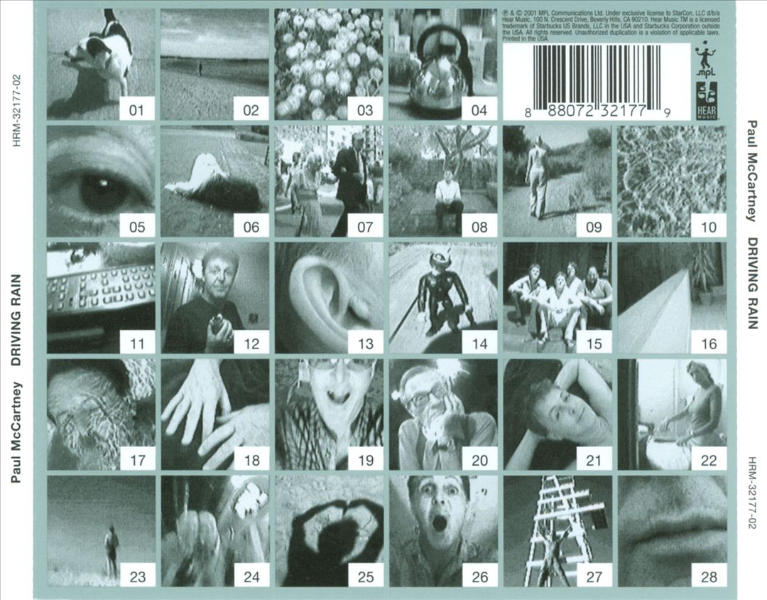 Driving Rain cover art