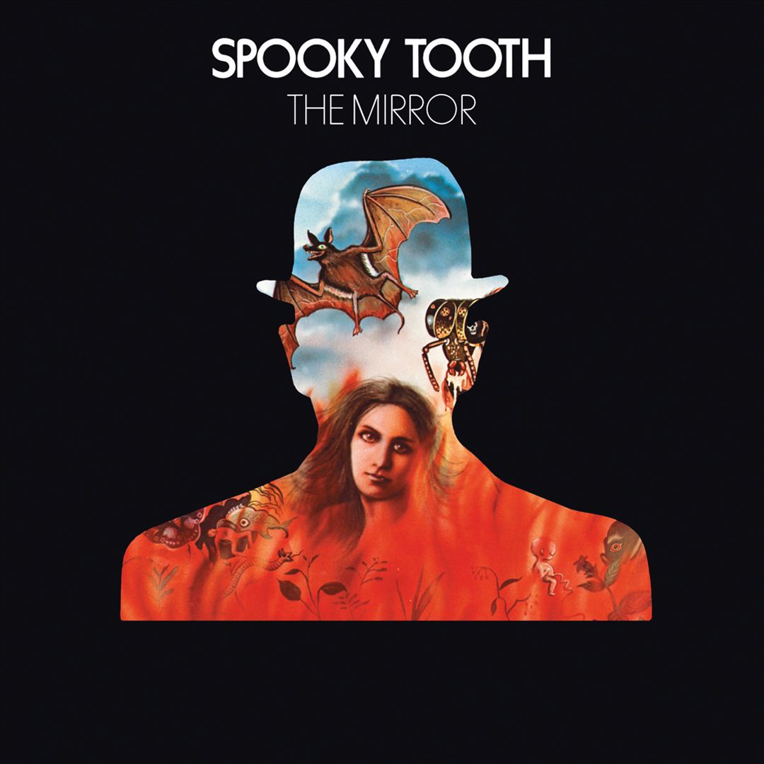 Mirror cover art