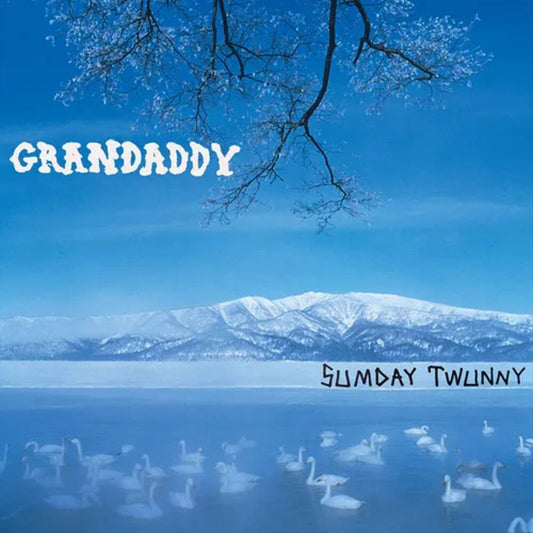 Sumday: Twunny cover art