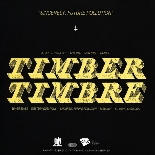 Sincerely, Future Pollution cover art