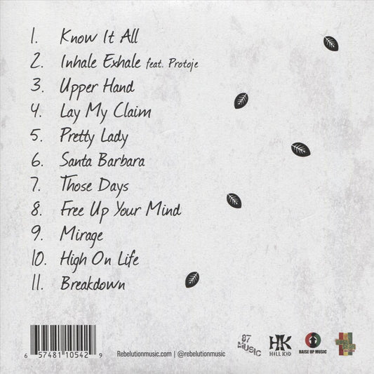 Falling Into Place cover art