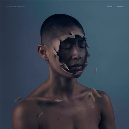 Valley of Vision cover art