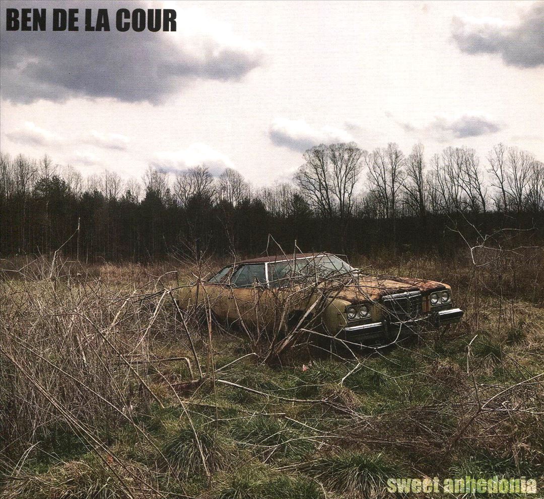 Sweet Anhedonia cover art