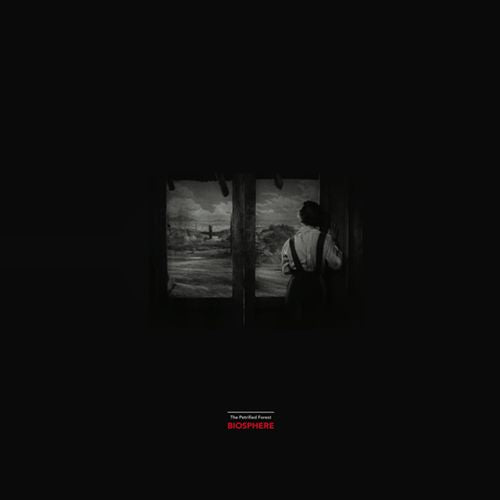 Petrified Forest cover art