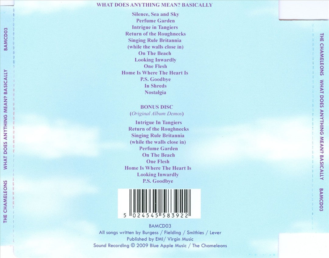 What Does Anything Mean? Basically cover art