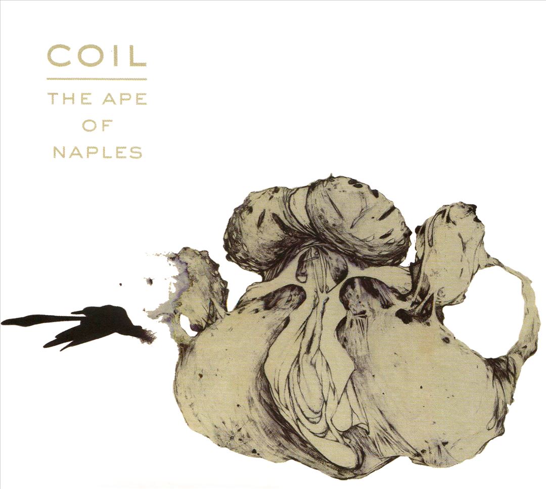 Ape of Naples cover art