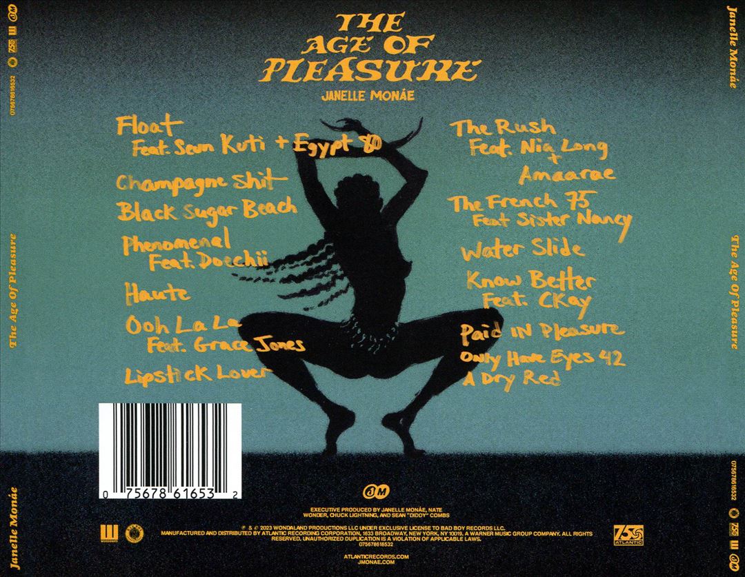 Age Of Pleasure cover art