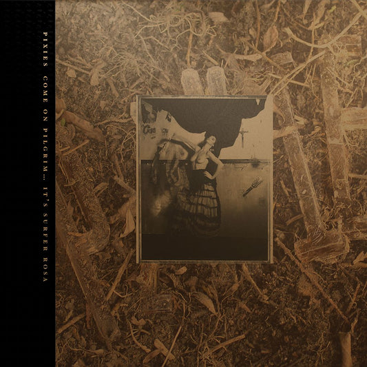 Come on Pilgrim... It's Surfer Rosa cover art