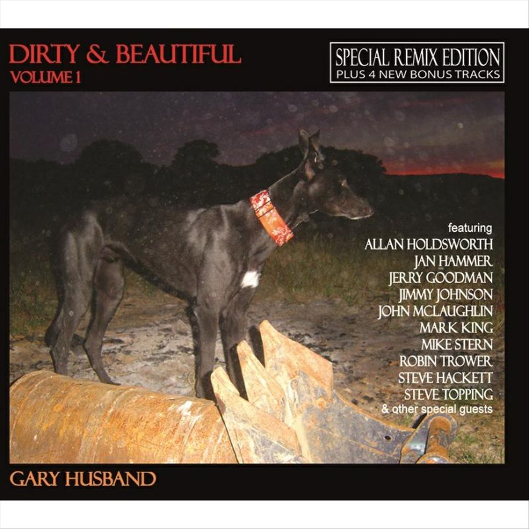 Dirty & Beautiful, Vol. 1 [Remix Edition with Bonus Tracks] cover art
