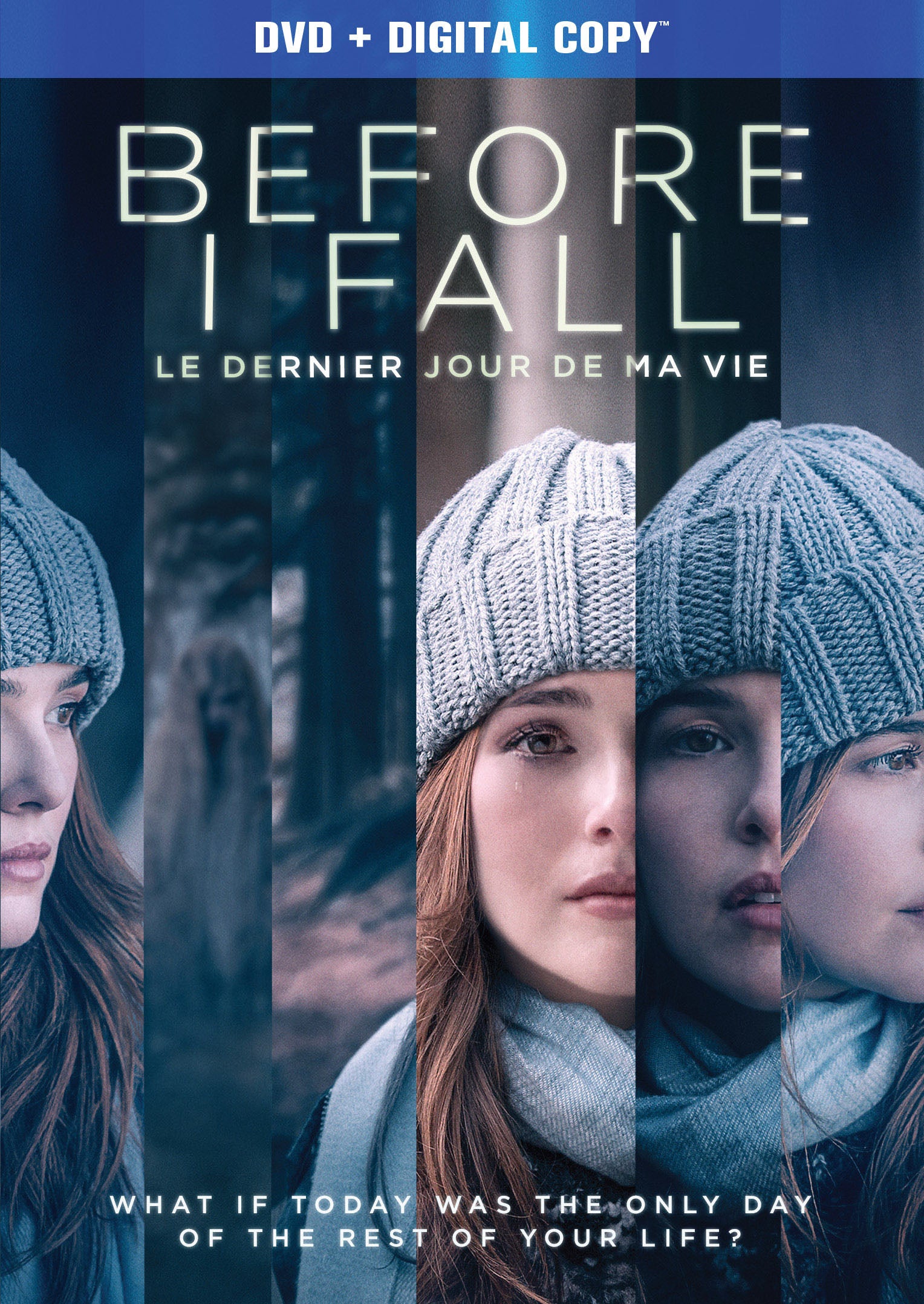 Before I Fall cover art