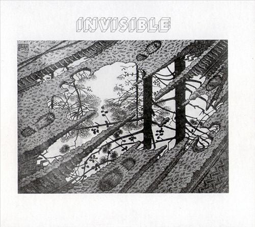 Invisible cover art