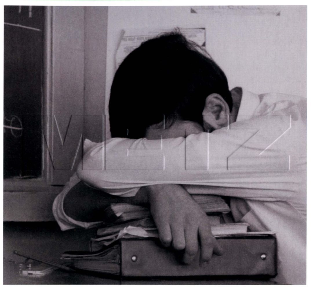 METZ cover art