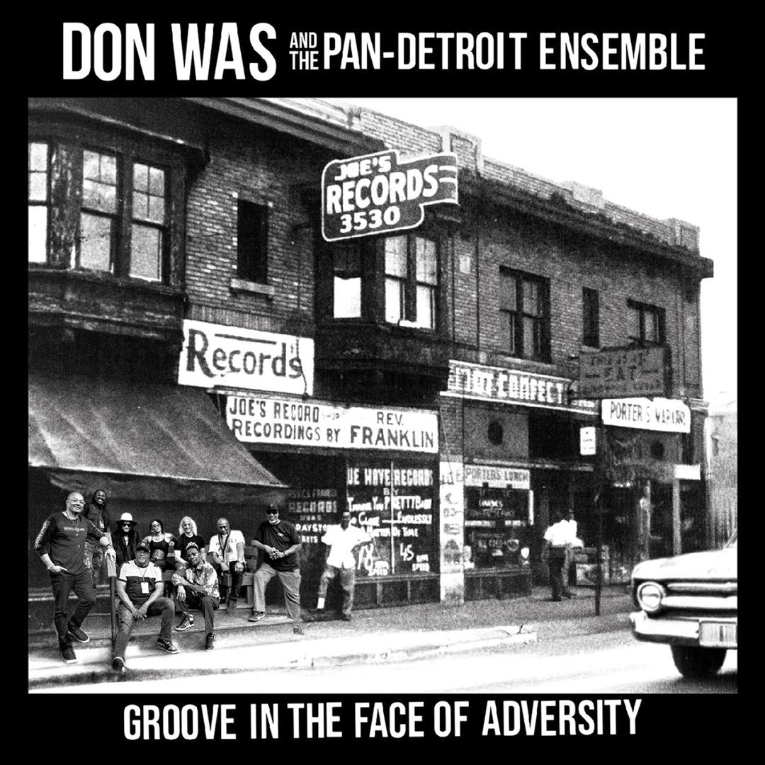 Groove in the Face of Adversity cover art