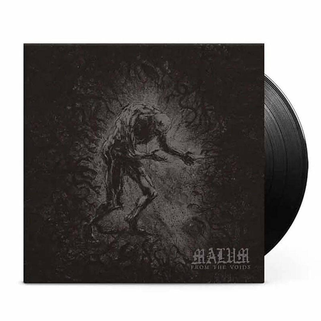 From the Voids cover art