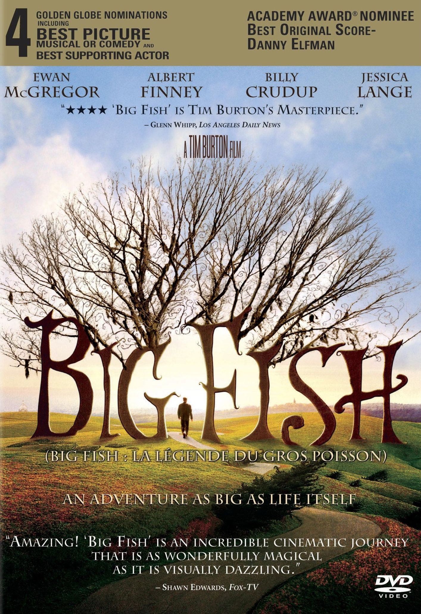 Big Fish cover art