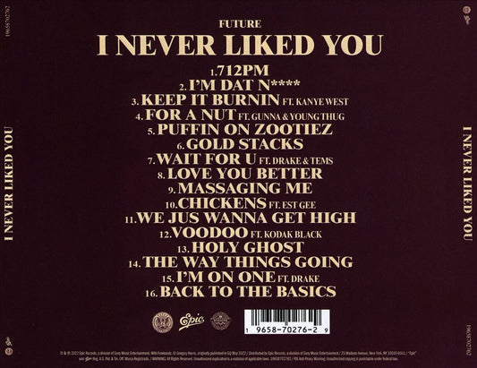 I Never Liked You cover art
