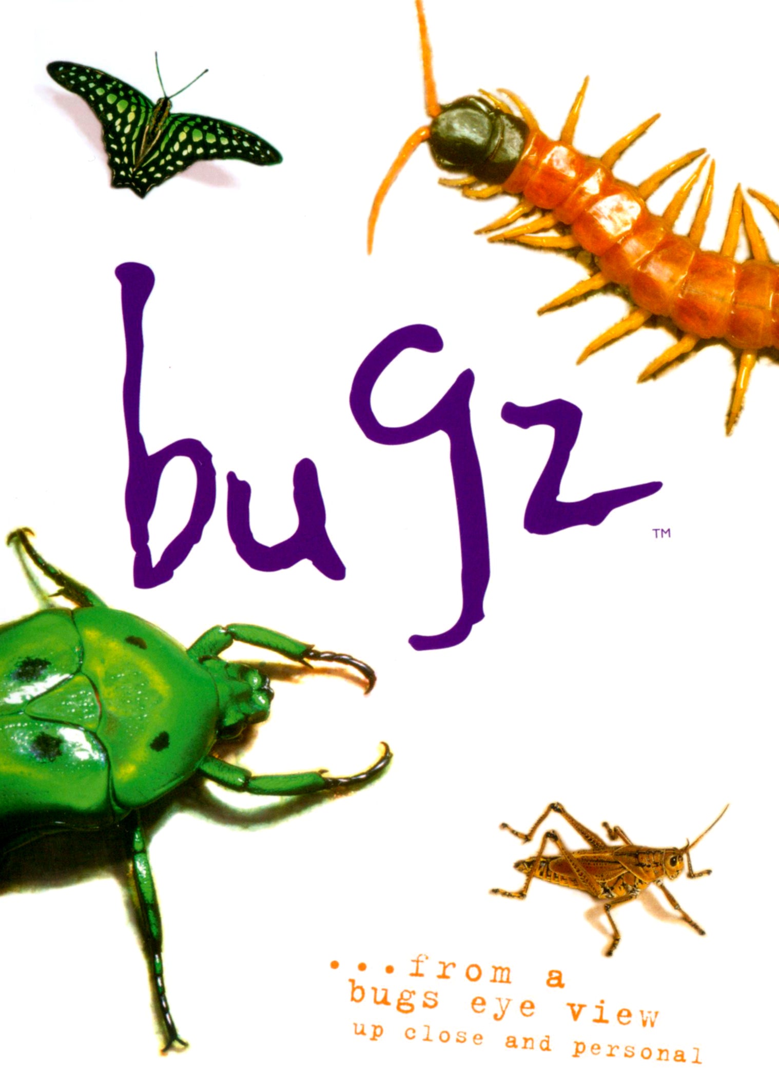 Bugz cover art